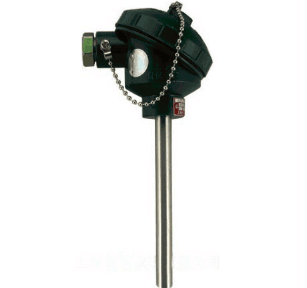 WZP-121無固定裝配式熱電阻