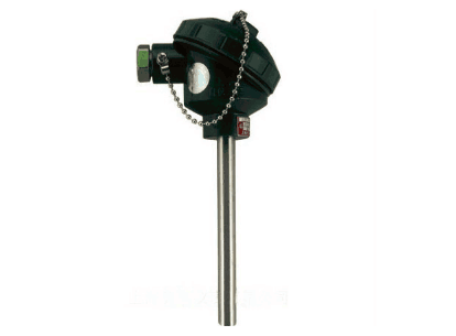 WZP-121無(wú)固定防濺式熱電阻